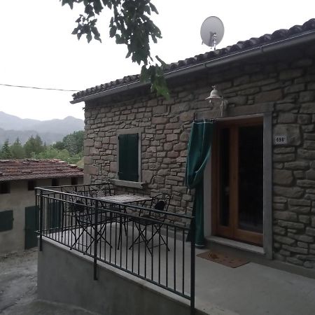 Agriturismo Il Regno Del Marrone Castel del Rio Zewnętrze zdjęcie