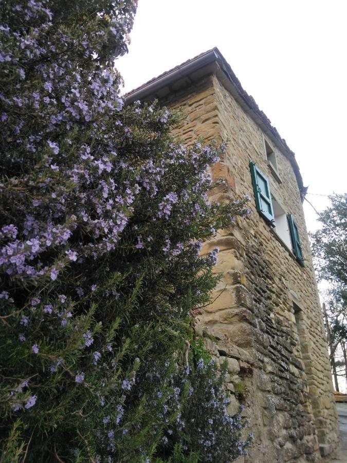 Agriturismo Il Regno Del Marrone Castel del Rio Zewnętrze zdjęcie